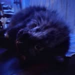 Corbin Ross - @corbinross65 - Instagram