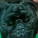 Corbin Santos - Facebook