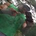 Corby Sapp - Facebook