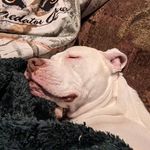 Corbin Shawn - @corbinshawn - Instagram