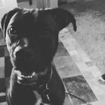corbin jack simmons - @corbinatron - Instagram