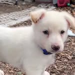 CorbinSnow - @corbinsnow6 - Instagram