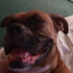 Corbin Stone - @plex2055 - Instagram