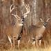 Todd Corbin - Facebook