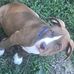 Corbin Walters - Facebook