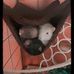 Corbin Young - Facebook