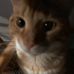 Corbin Young - Facebook