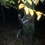 cordell davis - @cordelldavis945 - Instagram