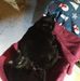 Coreen Williams - Facebook