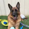 coreen.davis - @coreen.davis - TikTok