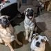 Corey Aaron - Facebook