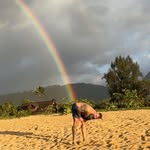 Corey Aaron - @coreyyoda - Instagram