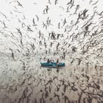 Corey Abele - @coreyabele - Instagram