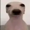 coreyackerman152 - @coreyackerman152 - TikTok
