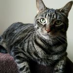 Cory Ackerman - @ceeack - Instagram