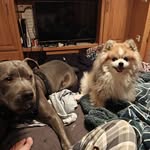 Cory Adair - @corylee2587 - Instagram
