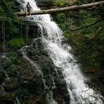 Corey Adamson - @applecore86y - Instagram
