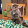 Corey Addison - @corey.addison93 - TikTok