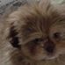 Corey Adler - Facebook