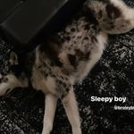 corey albert - @albycorey_0 - Instagram