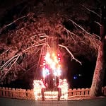 Corey Michael Alden - @coreymichaelalden - Instagram