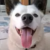 Corey Allan - @corey.allan - TikTok