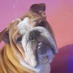 Corey Allison - @coreyallison19 - Instagram