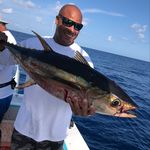 Corey Andrade - @blackneck1566 - Instagram
