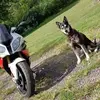 coreyangel647 - @coreyangel647 - TikTok