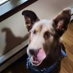 Corey Anglin - @7_and_eight - Instagram