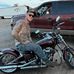 Corey Anglin - Facebook