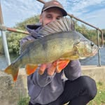 Corey Hunter-Mitchell - @coreyhmangling - Instagram