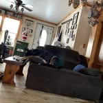 Corey Hanson - @coreyhanson_112 - Instagram
