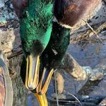 Corey Antley - @corey_antley22_ - Instagram