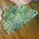 Cory Arthurs - @legalize_green_goddess - Instagram