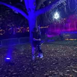 Cory ashby - @cory.ashby - Instagram