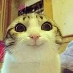 Cory Ashmore - @miauwcatlover - Instagram