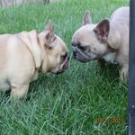 Corey Axon-Freyre - @coreyfreyre - Instagram
