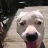 coreypeterayres - @coreypeterayres - TikTok