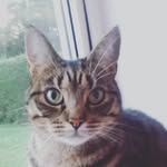 Corey barlow - @ivypeake1 - Instagram