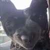 Corey Bates - @meisterbates - TikTok