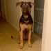 Corey Bittinger - Facebook