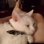 Cory Blum - @cory.blum.773 - Instagram