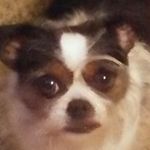 corey bowers - @boii2008 - Instagram