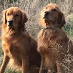 Bryce Corey - @bryce.corey.984 - Instagram