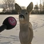 Corey Burkhardt - @mackburkle - Instagram
