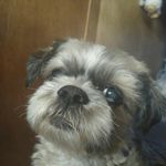 Cory Burris - @cory.burris - Instagram