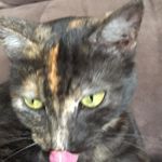 Corey Burt - @burtybeetle7 - Instagram