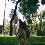 Corey Burt - @higleypolko - Instagram