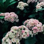 Corey Bussell - @corey.bussell - Instagram